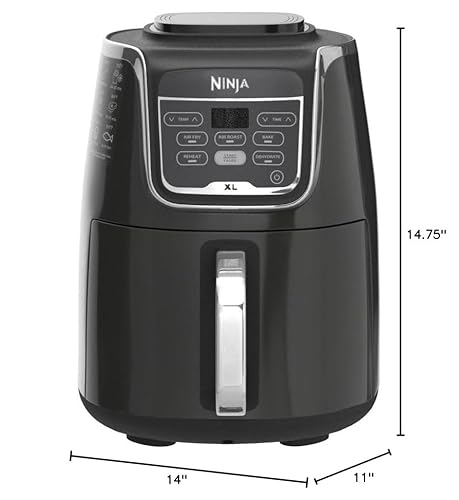 Best Air Fryer For Crispiness