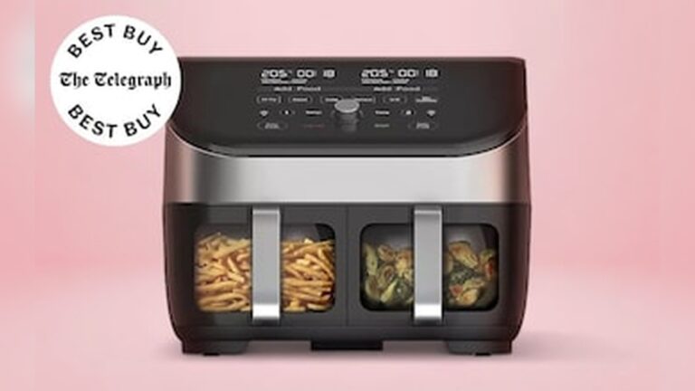 what is the best dual air fryer to buy.jpg